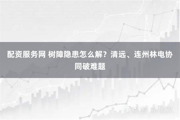 配资服务网 树障隐患怎么解？清远、连州林电协同破难题